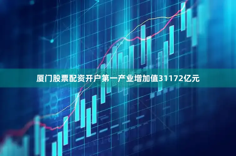 厦门股票配资开户第一产业增加值31172亿元